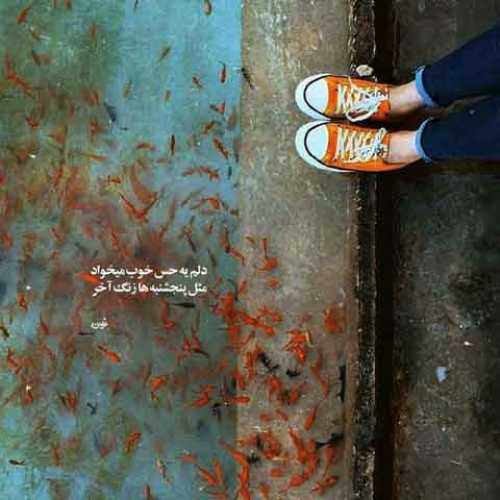 دانلود آهنگ جدید ریمیکس رپی از شایان حس خوب (بیت شادمهر عقیلی)