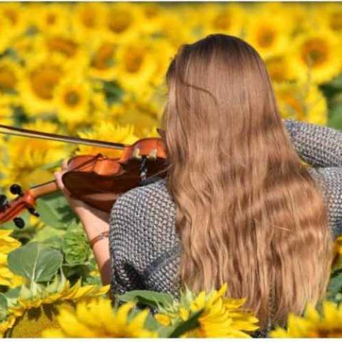 دانلود آهنگ جدید جی پیئونگ کوان Sad Romance (a.k.a. Sad Violin)
