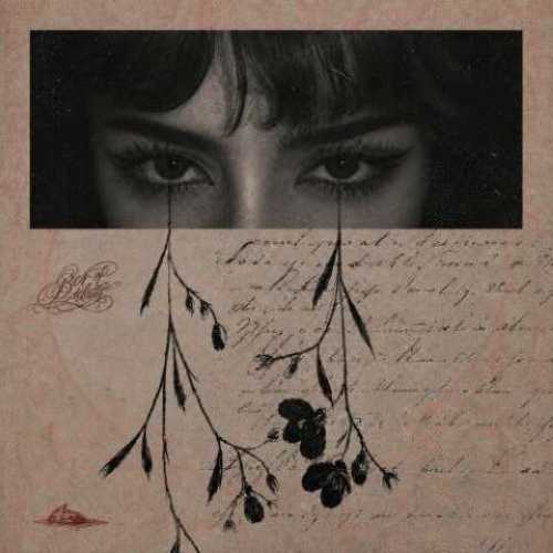 دانلود آهنگ جدید پیدار بریدم