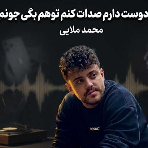 دانلود آهنگ جدید محمد ملایی دوست دارم صدات کنم تو هم بگی جونم