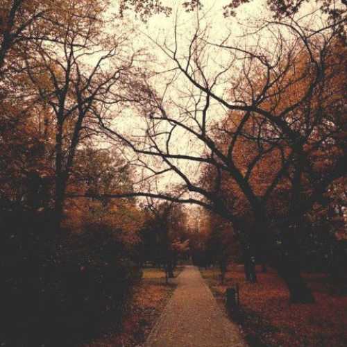 دانلود آهنگ جدید آندریا وانزو Autumn Journey