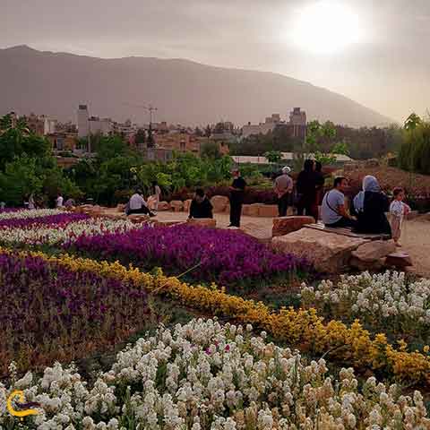 دانلود آهنگ جدید صبور  گل باغ شیراز