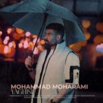 دانلود آهنگ یاغیش یاغیر اورَییم نییه منی محمد محرمی دانلود آهنگ یاغیش یاغیر اورَییم نییه منی محمد محرمی