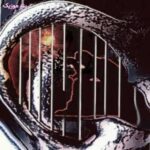 دانلود آهنگ تی دی کو گوش شنوا