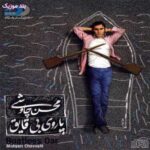 دانلود آلبوم محسن چاوشی پاروی بی قایق