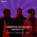 دانلود آهنگ جدید علیرضا جی جی، سیجل و بهزاد لیتو زیادش خوبه (ریمیکس)