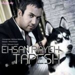 دانلود آهنگ احسان پایه تپش