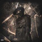 دانلود آهنگ جدید سیوهش Haunted Flow