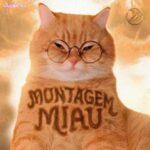 دانلود آهنگ Lenar Montagem Miau