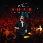 دانلود آهنگ جدید آرمان گرشاسبی شب (اجرای کنسرت)