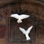 دانلود آهنگ جدید تیتراژ پایانی بامداد خمار